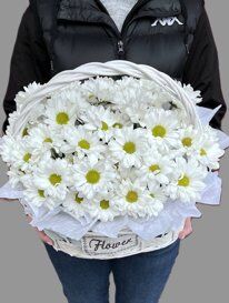 Аполлон (М) корзина
